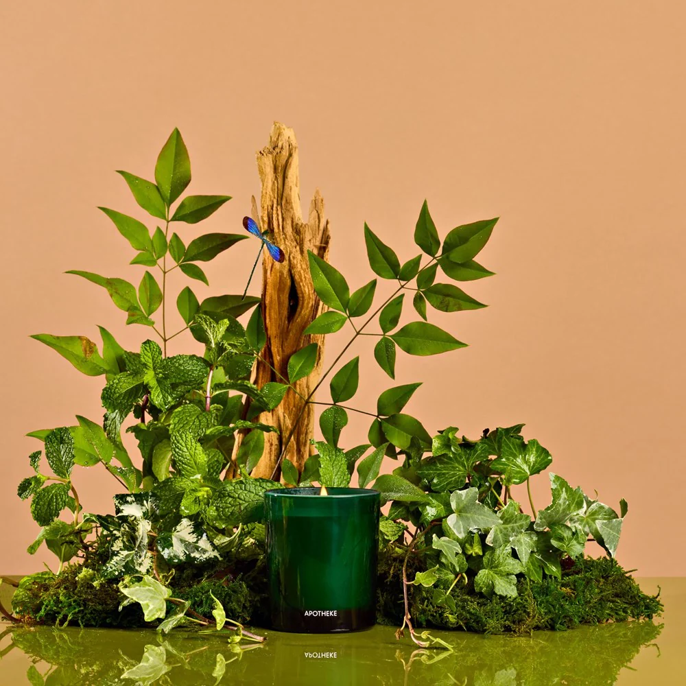 Wild Mint and Ivy Petite Candle